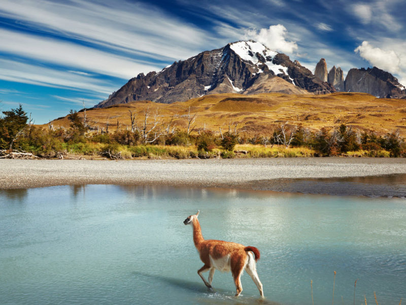 Патагония Чили гора